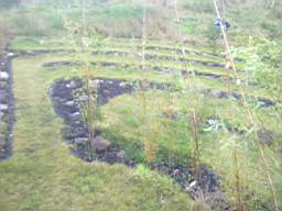carrowcrory 7105.jpg